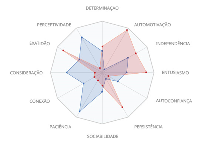 Dodecaedro de competências comportamentais