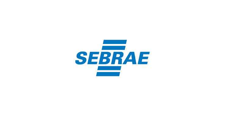 Consultoria para o SEBRAE