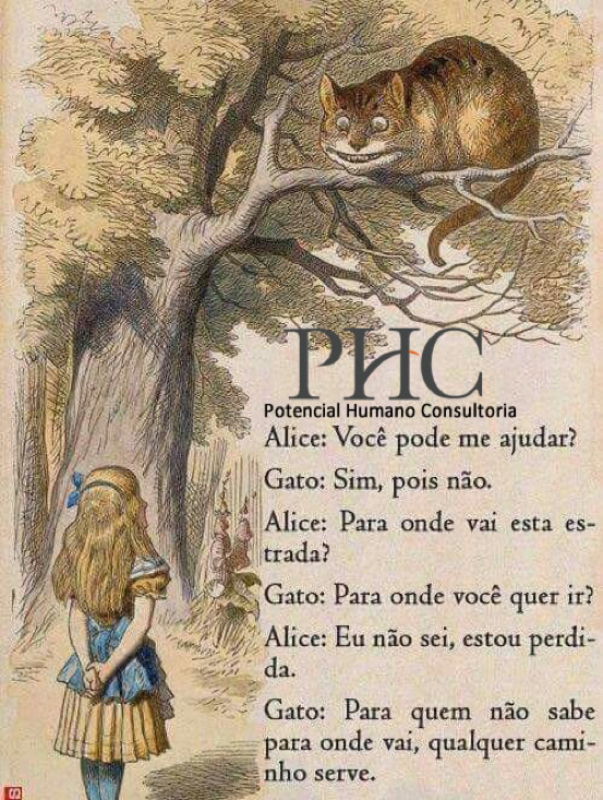 Alice e o Gato
